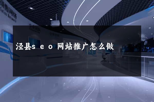 泾县seo网站推广怎么做