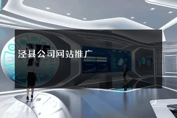泾县公司网站推广