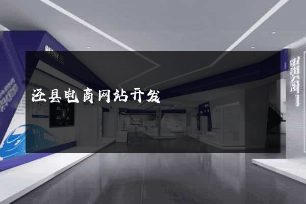 泾县电商网站开发