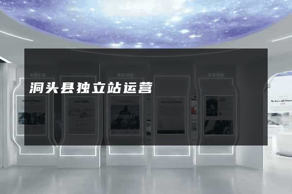 洞头县独立站运营