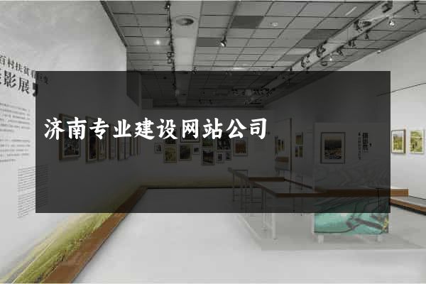 济南专业建设网站公司