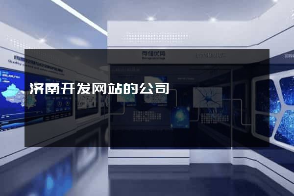 济南开发网站的公司