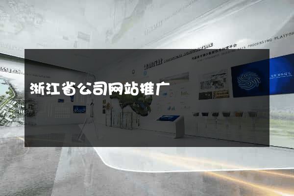浙江省公司网站推广