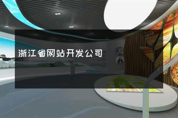 浙江省网站开发公司