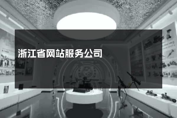 浙江省网站服务公司