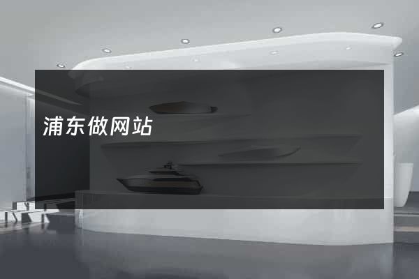 浦东做网站
