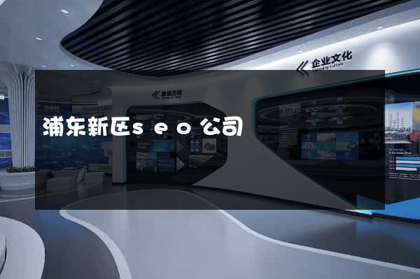 浦东新区seo公司