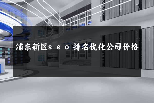 浦东新区seo排名优化公司价格