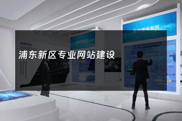 浦东新区专业网站建设