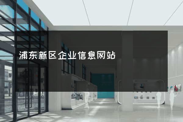 浦东新区企业信息网站