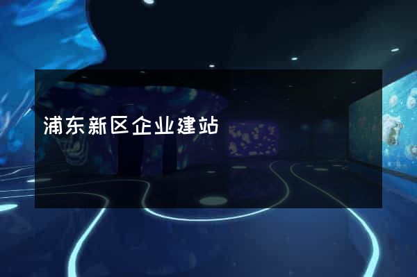 浦东新区企业建站