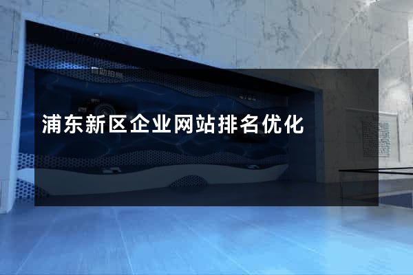 浦东新区企业网站排名优化