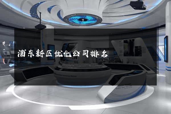 浦东新区优化公司排名