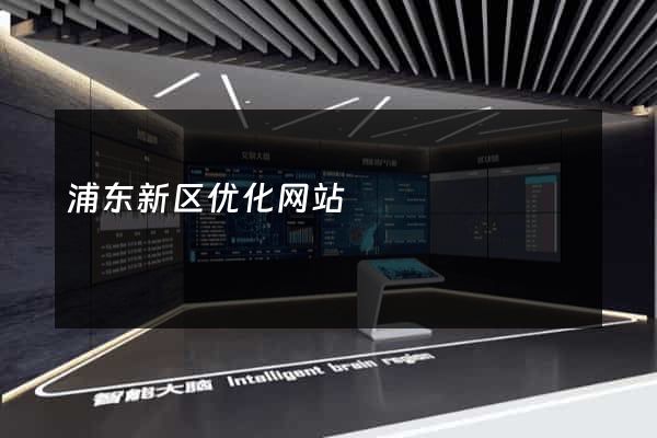 浦东新区优化网站