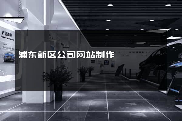 浦东新区公司网站制作
