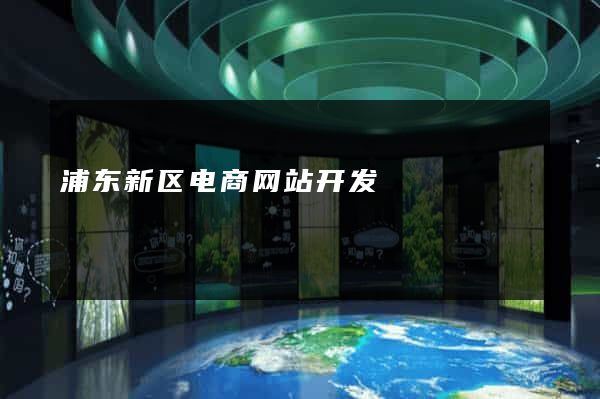 浦东新区电商网站开发