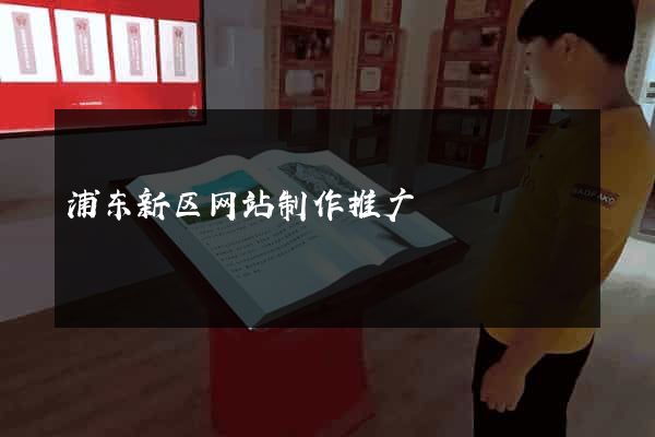 浦东新区网站制作推广
