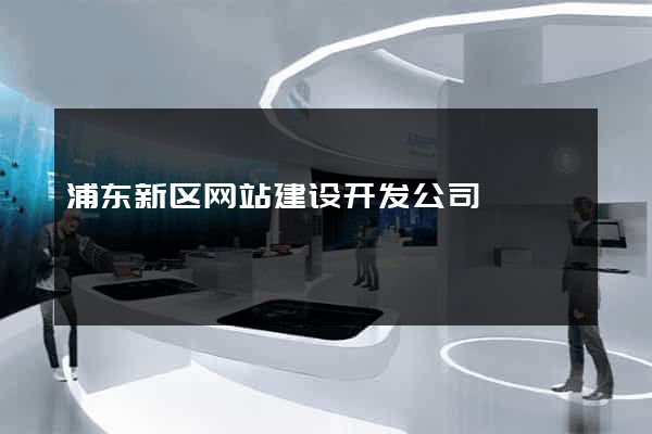 浦东新区网站建设开发公司