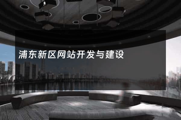 浦东新区网站开发与建设