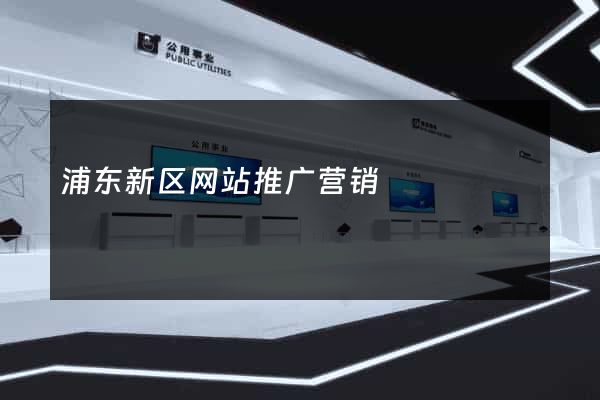 浦东新区网站推广营销