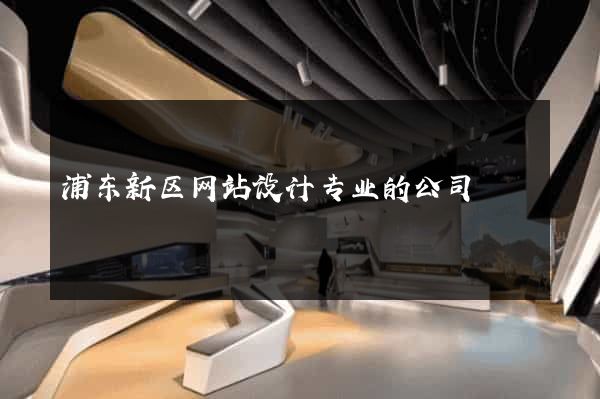 浦东新区网站设计专业的公司