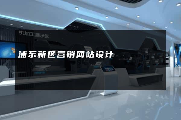 浦东新区营销网站设计