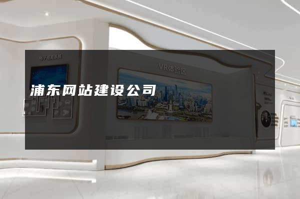 浦东网站建设公司