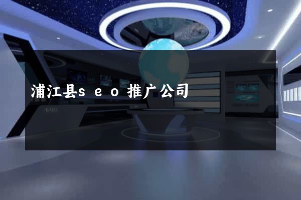 浦江县seo推广公司