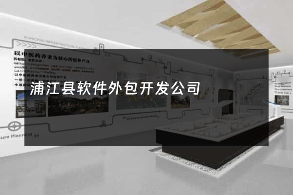浦江县软件外包开发公司