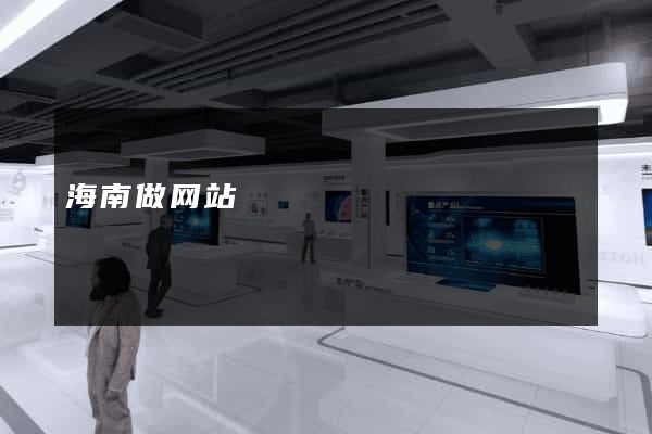 海南做网站