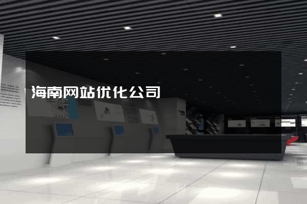 海南网站优化公司