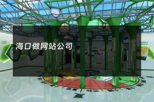 海口做网站公司