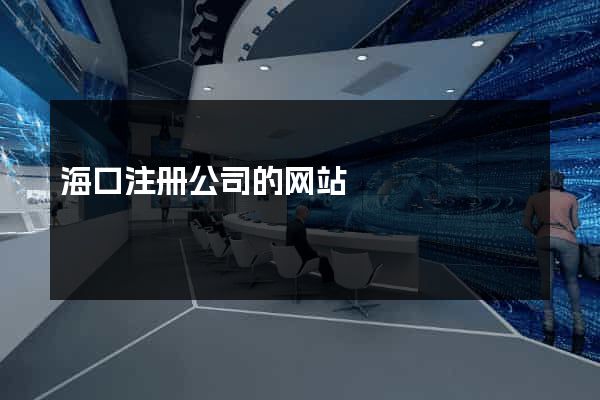 海口注册公司的网站