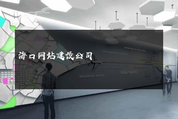 海口网站建设公司