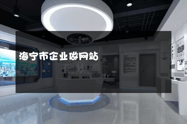 海宁市企业做网站