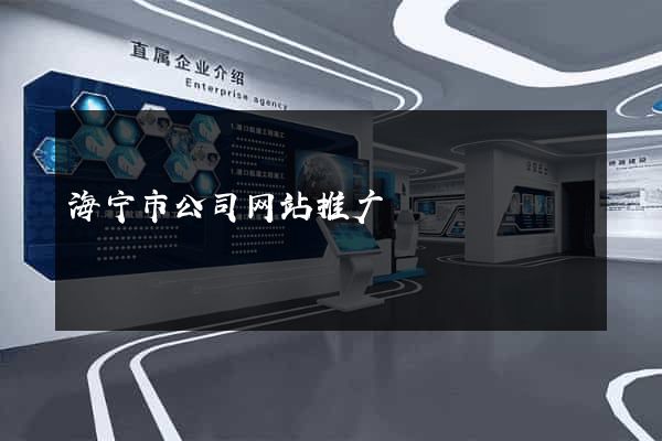 海宁市公司网站推广