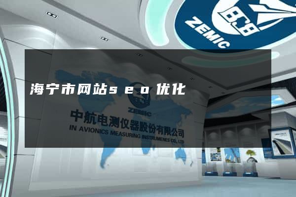 海宁市网站seo优化