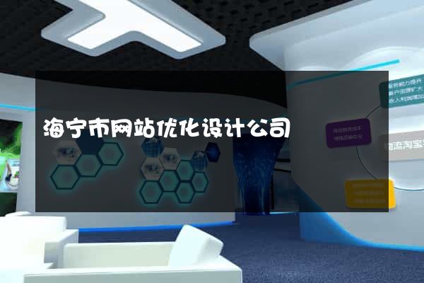 海宁市网站优化设计公司