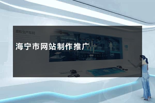 海宁市网站制作推广
