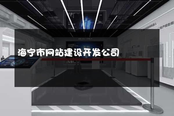 海宁市网站建设开发公司