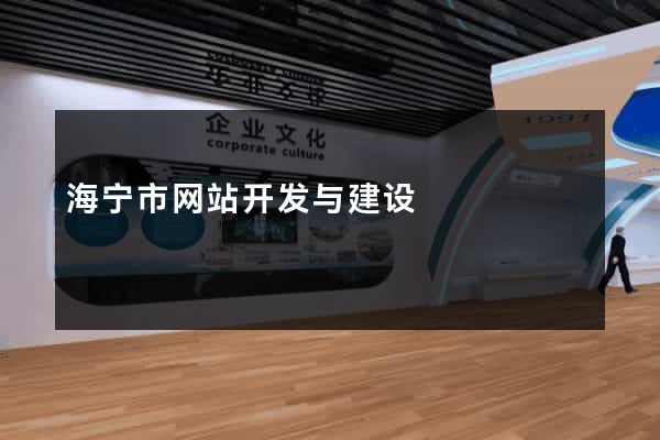 海宁市网站开发与建设