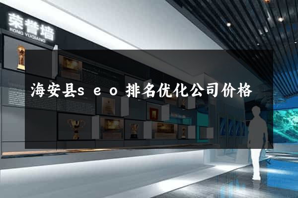 海安县seo排名优化公司价格