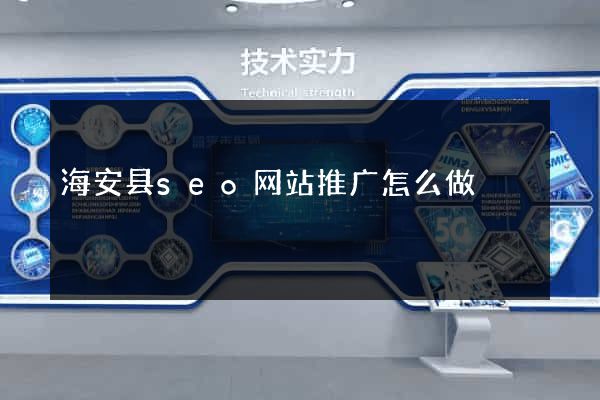 海安县seo网站推广怎么做