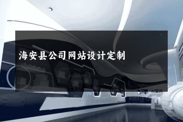 海安县公司网站设计定制