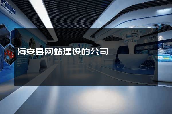 海安县网站建设的公司