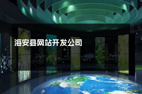 海安县网站开发公司