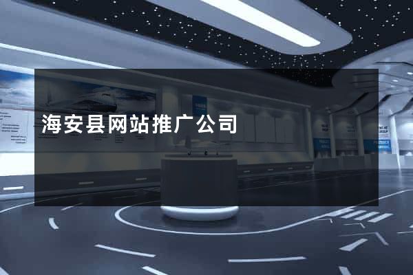 海安县网站推广公司
