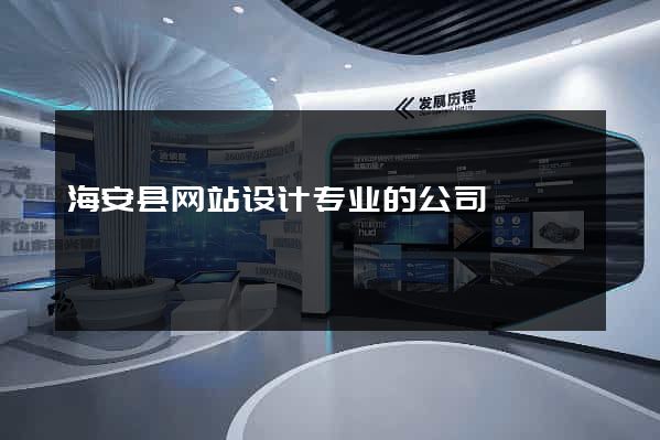 海安县网站设计专业的公司