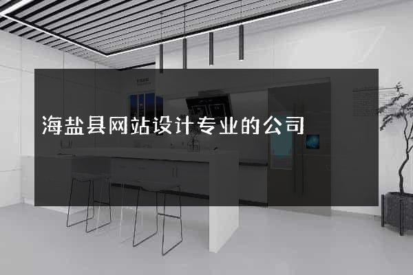 海盐县网站设计专业的公司