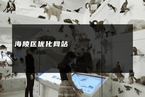 海陵区优化网站